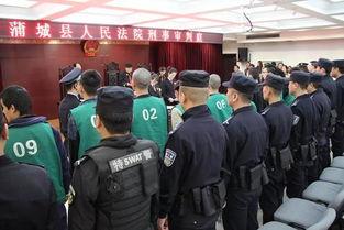 蒲城最近爆料案件最新,最新案件细节曝光,真相令人震惊! 第2张 蒲城最近爆料案件最新,最新案件细节曝光,真相令人震惊! 第2张